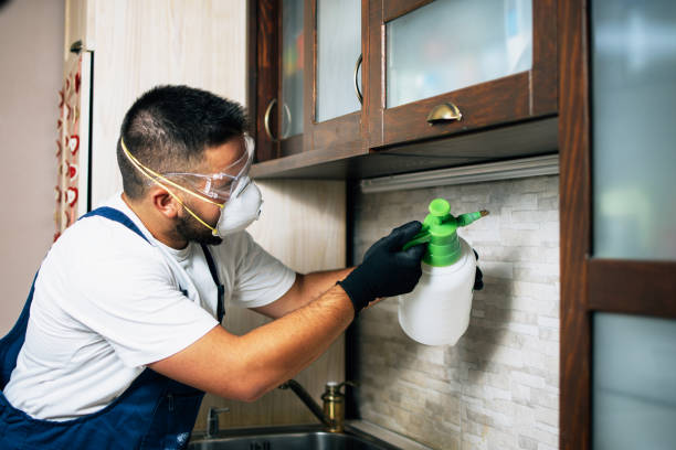 Best Pest Inspection Near Me  in Worthington, MN