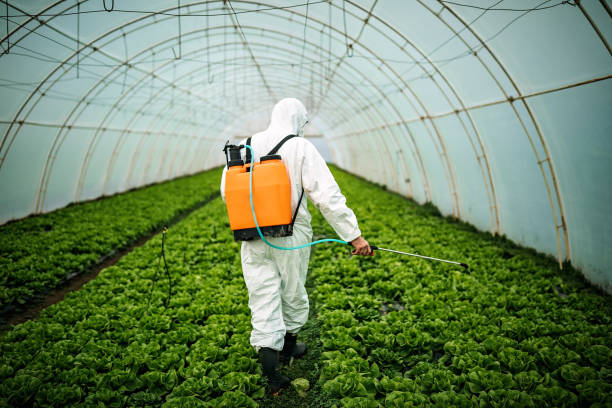 Best Best Pest Control Companies  in Worthington, MN