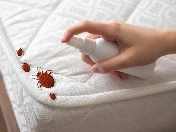 Best Exterminator Services  in Worthington, MN