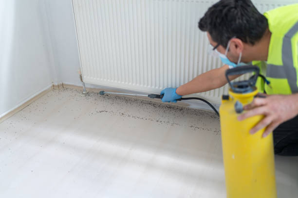 Professional Pest Control in Worthington, MN